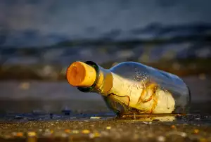 Pivo A Střeva