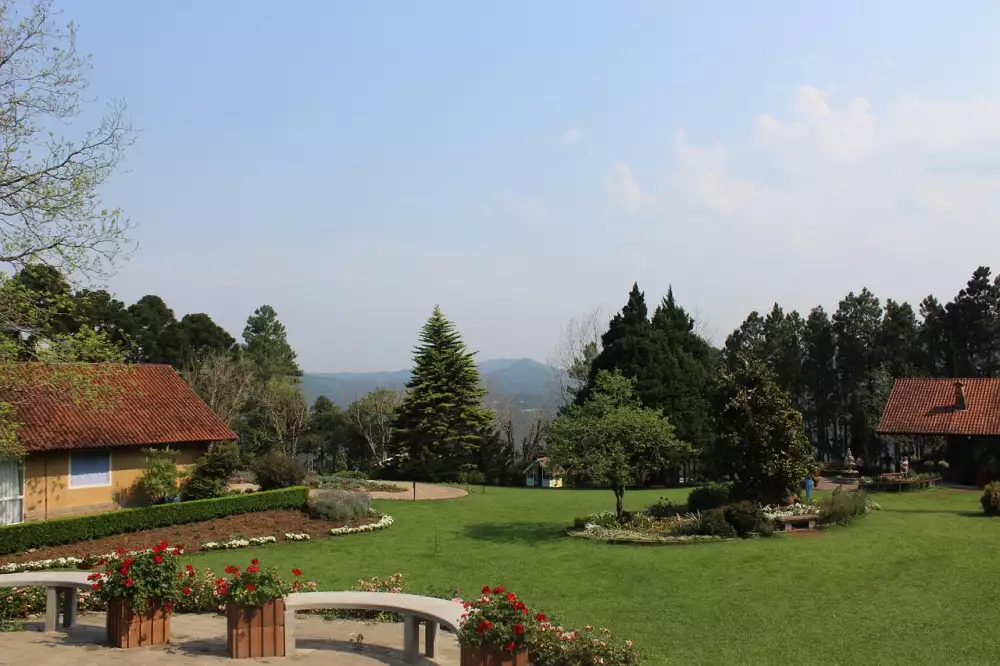 Převislé Okrasné Stromy Do Malých Zahrad