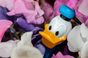 Kolik Stoji Disney