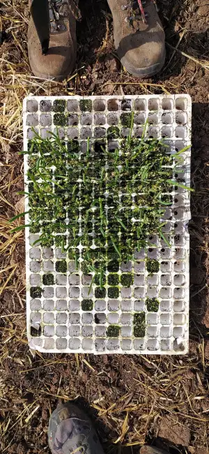 Biofarma Rašovice