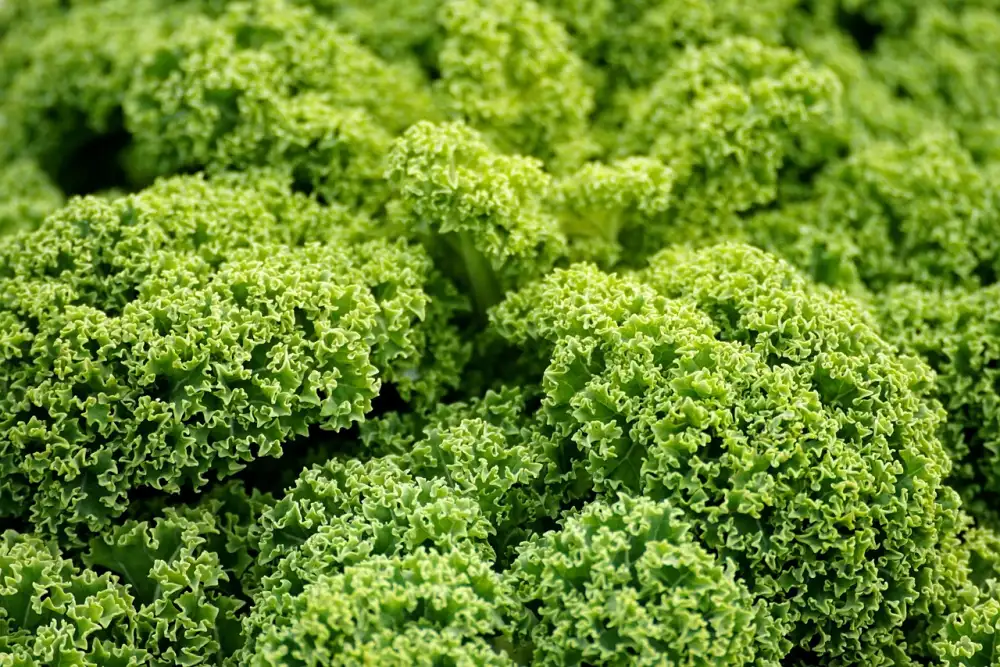 Vegan Bublanina