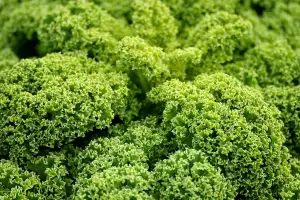 Vegan Bublanina