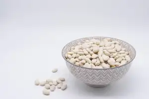 Protein Na Hubnutí