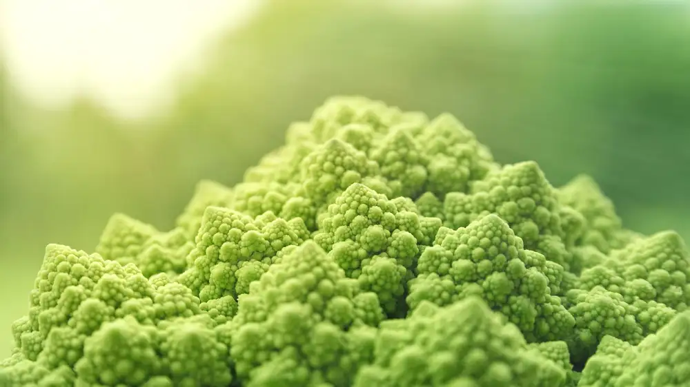 Lidl Vegan
